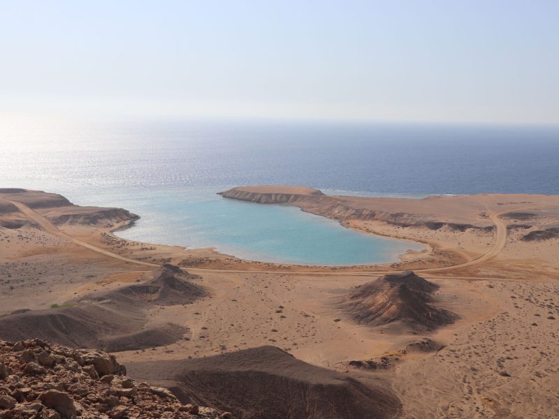 geniusloci-signage-red-sea-global-amaala-linear-park-amaala-00